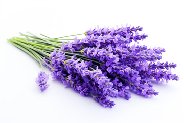 Lavender isolated on white background created with Generative Ai