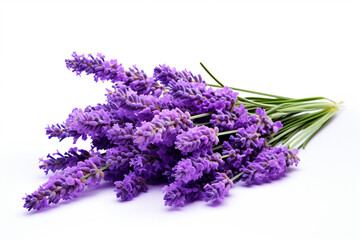 Lavender isolated on white background created with Generative Ai