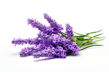 Naklejka premium Lavender isolated on white background created with Generative Ai