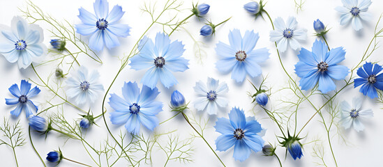Blue Eyed Grass flower pattern background. Flower background texture. Botanical Bliss: Seamless Flower Background