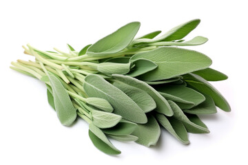 Sage isolated on white background created with Generative Ai