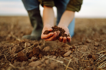 Soil in hands for check the quality of the soil for control soil quality before seed plant. ...