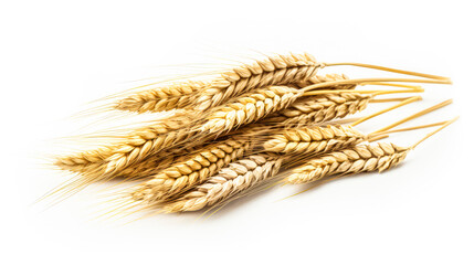 Golden harvest vibes. Bunches of wheat ears isolated on a white background. Ideal for packaging design or conveying wholesome, farm fresh goodness.