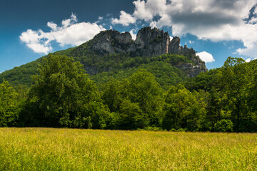 Seneca Rocks in Summer, West Virginia
