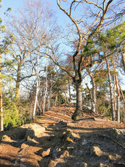 Devil's Wall (Teufelsmauer) in the Harz Mountains, Germany