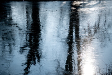 Bäume spiegeln sich im zugefrorenen See
