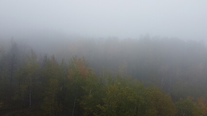 Fototapeta premium Foggy Day