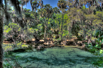 Fototapeta premium Views of Blue Springs State Park near Orlando, Florida