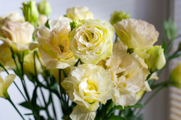 Yellow large bouquet of eustomes, close-up