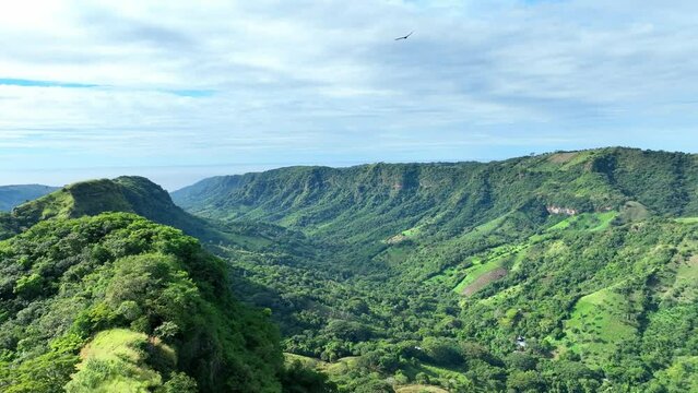 forest landscape in the mountains seen from the sky