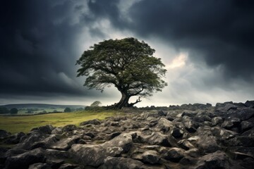 Fototapeta na wymiar A solitary tree standing against a dramatic backdrop of storm clouds
