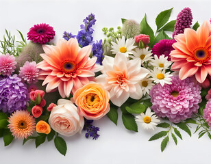 Line of multiple wet fresh flowers on a white background