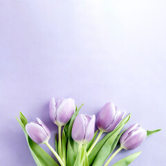 Bunte Tulpen vor farbigem Hintergrund mit Textfreiraum 