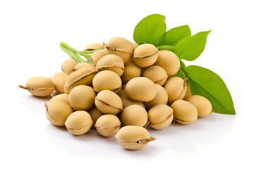 Soybean isolated on white background created with Generative Ai