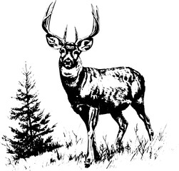 Deer in wood in sketch style, vector illustration. 