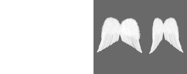 White wing on transparent background, Angel wings isolated, wing png, white feather png, photoshop...