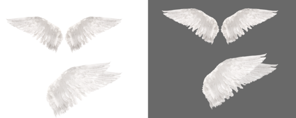 White wing on transparent background, Angel wings isolated, wing png, white feather png, photoshop overlay