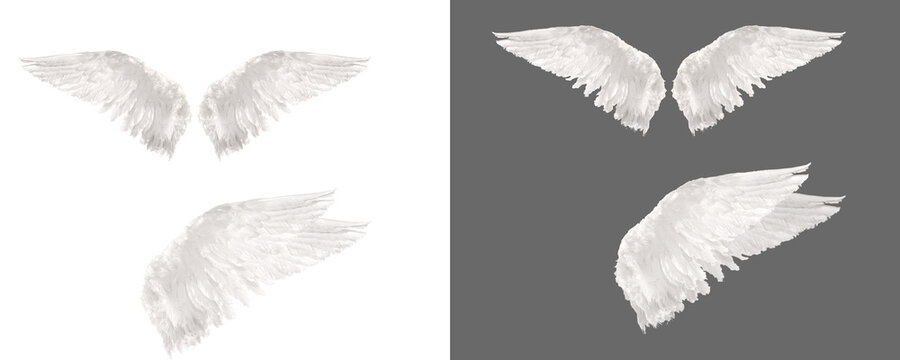White wing on transparent background, Angel wings isolated, wing png, white feather png, photoshop overlay