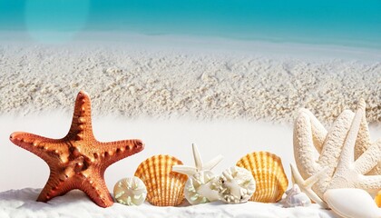 Fototapeta na wymiar holiday background with seashells and starfish 