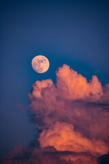 Step into a dreamlike realm as the full moon illuminates the world, gently piercing through the...