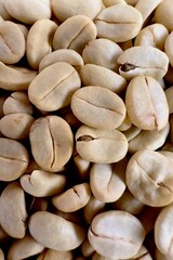 (Coffee substance) Thai Arabica and Robusta fully washed process for home roasting green coffee bean background