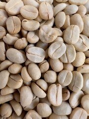 (Coffee substance) Thai Arabica and Robusta fully washed process for home roasting green coffee bean background