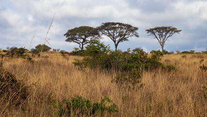 nairobi national park