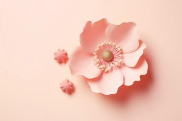 A delicate pink anemone flower lying gracefully on a pastel pink surface with soft lighting.