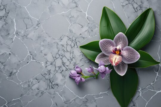 Vibrant purple orchids displayed on a marble canvas with intricate veining, showcasing elegance and natural beauty.