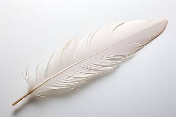 A single feather, delicately placed on a white background, highlighting its graceful and ethereal qualities in a minimalist composition.