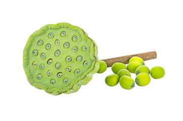 Lotus seed transparent png