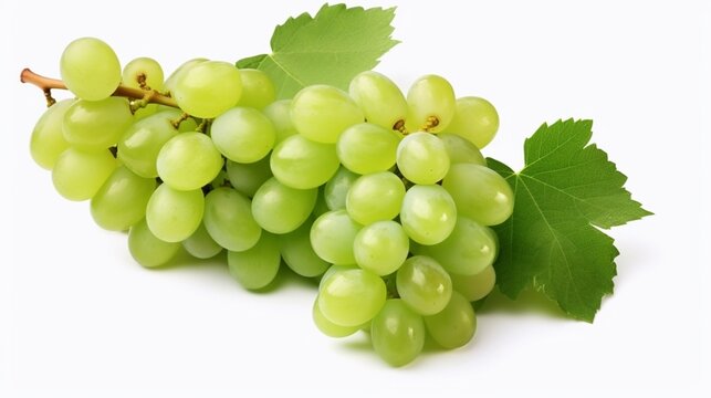 Green wine grapes isolated on transparent or white background. .