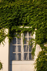 Sustainable green building. Eco-friendly building.