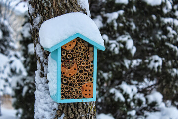 A bee house for mason bees or wood bees, with a few of the holes occupied, covered in snow over the...