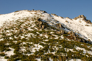 snow covered mountains