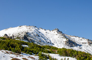 snow covered mountains