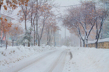 Obraz premium Snowy road_