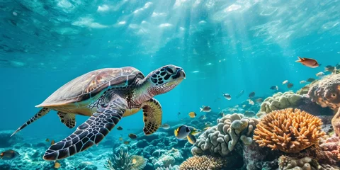 Foto op Canvas a large turtle swims underwater in the ocean Generative AI © València