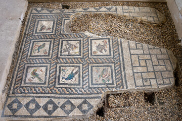 Roman Mosaics on the floor in the building near the Roman amphitheater of Alexandria