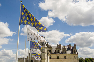 Castle in the city of Amboise France, beautiful architecture, old roofs, Loire river, green trees...