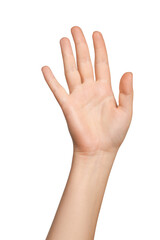 Woman's hand on empty background