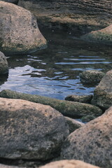 rocks in the water