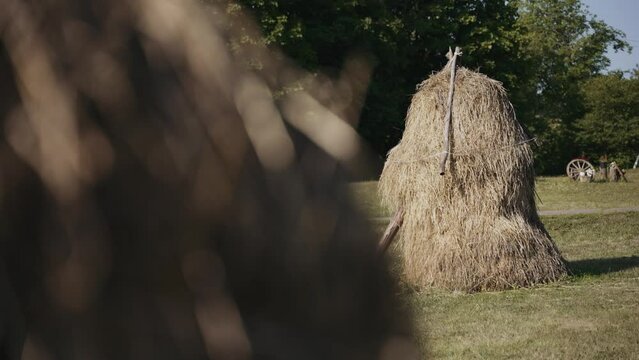 A traditional haystack in a field with a blurred foreground, evoking rustic countryside life, perfect for agricultural or rural-themed stock imagery.