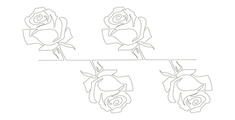 Pattern of rose flowers in a single continuous line style. Roses. Stock vector illustration isolated on white background