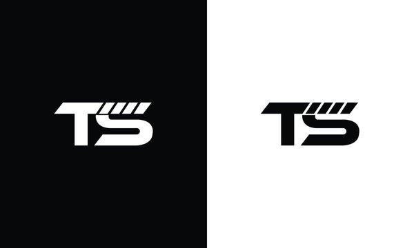 TS logo initial letter design