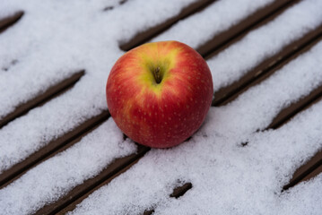 Organic pink lady apple on snow covered wooden table in garden. Healthy eating country lifestyle background. Energy shot before winter sport activities. Natural Vitamin C snack booster against flu.