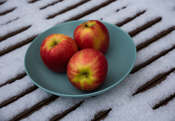 Three organic pink lady apples in bowl on snow covered table in garden. Healthy eating lifestyle background. Energy shot before winter sport activities. Natural Vitamin C snack booster against flu