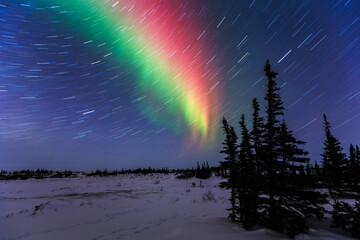Aurora Borealis and Star Trails