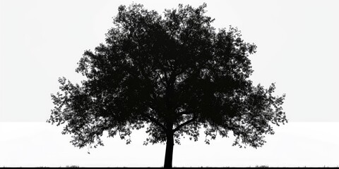 A black and white photo of a solitary tree. Suitable for various uses