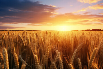 Golden wheat field at sunset, Generative AI